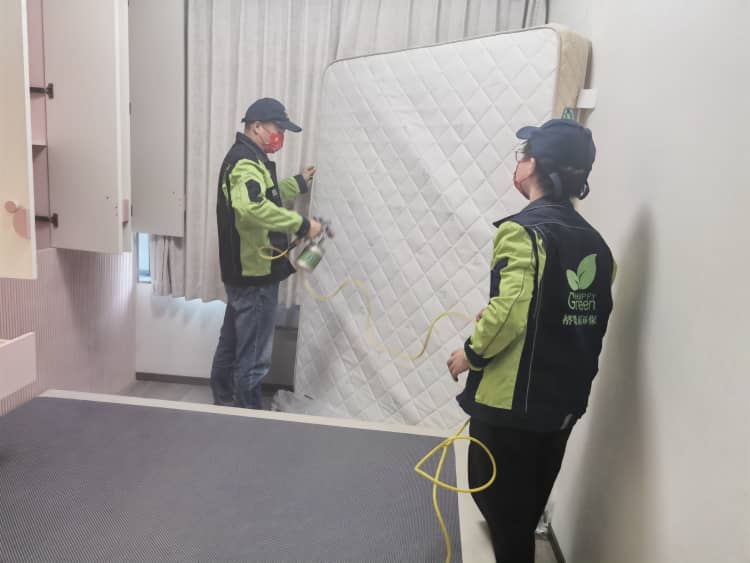 武漢辦公室除甲醛！選格瑞樂冇得錯