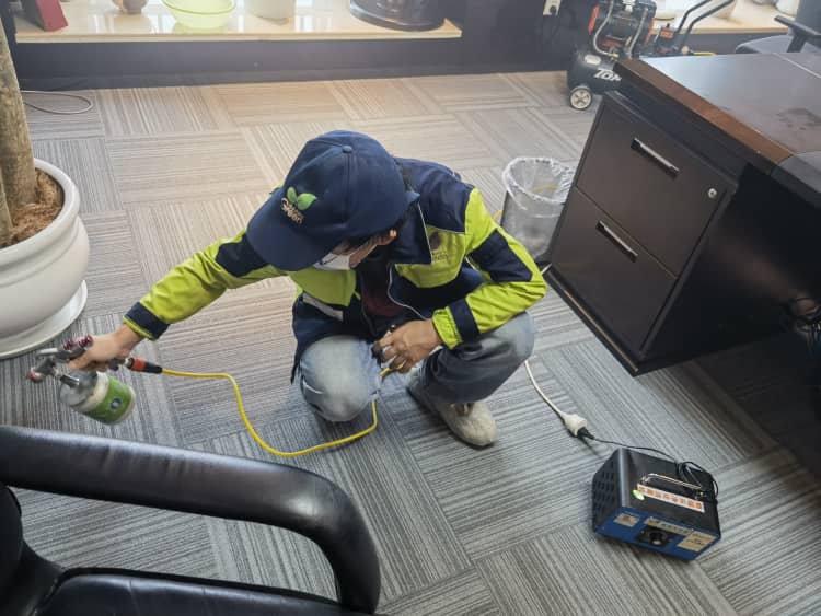 武漢新屋實木家具沒得甲醛？莫瞎信！科學除醛攻略